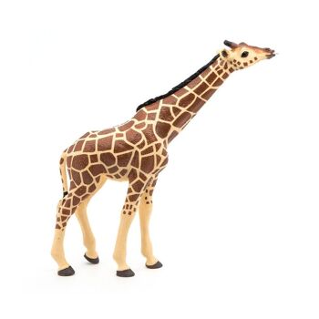 PAPO Wild Animal Kingdom Giraffe Head Up Toy Figure, 3 ans ou plus, Marron (50236) 2