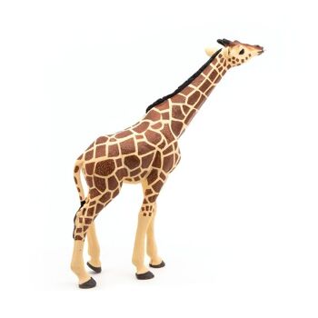 PAPO Wild Animal Kingdom Giraffe Head Up Toy Figure, 3 ans ou plus, Marron (50236) 3