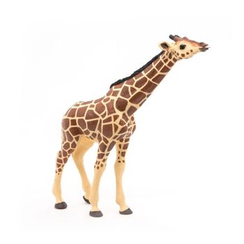 PAPO Wild Animal Kingdom Giraffe Head Up Toy Figure, 3 ans ou plus, Marron (50236) 4