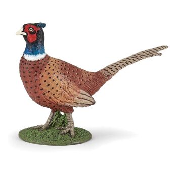 PAPO Wild Animal Kingdom Pheasant Toy Figure, 3 ans ou plus, Marron (50263)