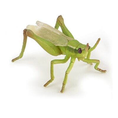 PAPO Wild Animal Kingdom Grasshopper Toy Figure, 3 anni o più, verde (50268)