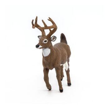 PAPO Wild Animal Kingdom Figurine Cerf de Virginie, 3 ans ou plus, Marron (53021) 4