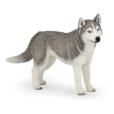 PAPO Dog and Cat Companions Siberian Husky Toy Figure, Three Years or Above, Gris/Blanc (54035)