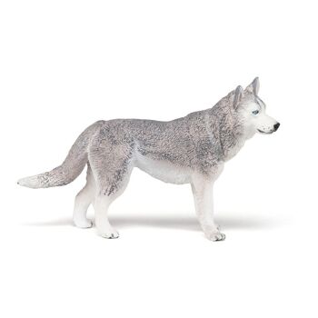 PAPO Dog and Cat Companions Siberian Husky Toy Figure, Three Years or Above, Gris/Blanc (54035) 2