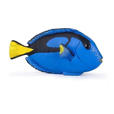 PAPO Marine Life Surgeonfish Toy Figure, 3 anni o più, multicolore (56024)