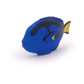 PAPO Marine Life Poisson-chirurgien Figurine, 3 ans ou plus, Multicolore (56024) 4