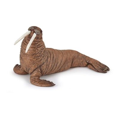 PAPO Marine Life Walrus Toy Figure, 3 anni o più, marrone (56030)