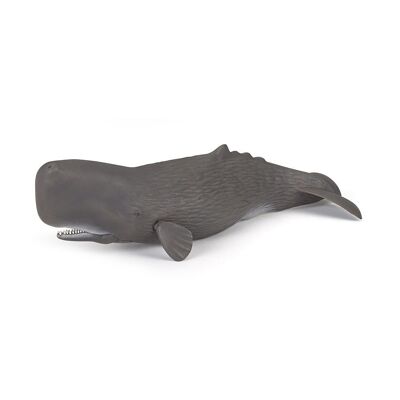 PAPO Marine Life Sperm Whale Toy Figure, 3 ans ou plus, gris (56036)