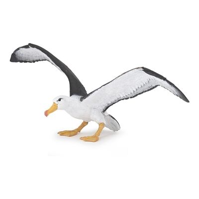 PAPO Marine Life Albatross Figurine, 3 ans ou plus, Blanc/Gris (56038)