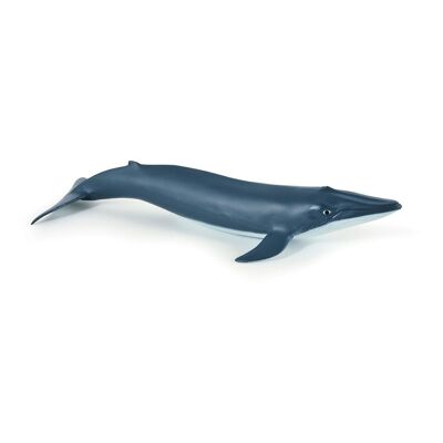 PAPO Marine Life Blue Whale Calf Toy Figure, 3 ans ou plus, Bleu (56041)