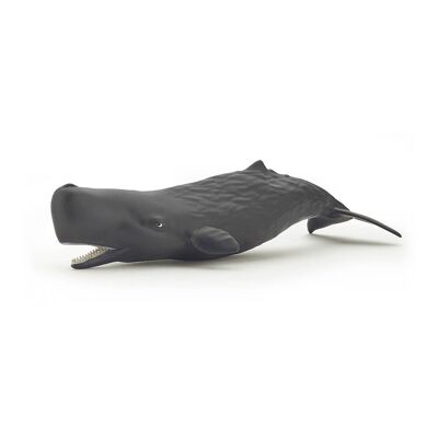 PAPO Marine Life Sperm Whale Calf Toy Figure, 3 ans ou plus, gris (56045)