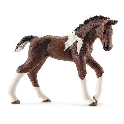 SCHLEICH Horse Club Trakehner puledro giocattolo, da 5 a 12 anni, marrone/bianco (13758)