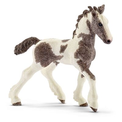 SCHLEICH Farm World Tinker Foal Figura de juguete, blanco/marrón, de 3 a 8 años (13774)