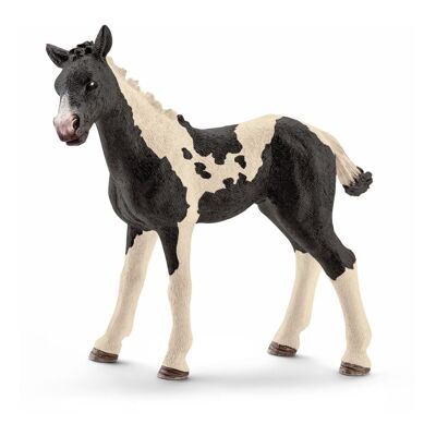 SCHLEICH Farm World Pinto Fohlen Spielfigur, Schwarz/Weiß, 3 bis 8 Jahre (13803)