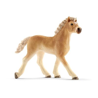Schleich Horse Club Haflinger Foal Figura de juguete, 5 a 12 años, bronceado (13814)