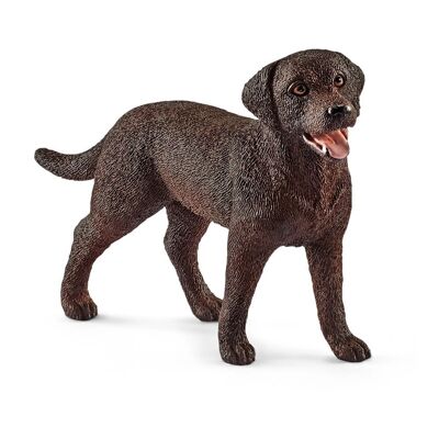 SCHLEICH Farm World Figurine femelle Labrador Retriever Marron 3 à 8 ans (13834)