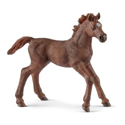 SCHLEICH Horse Club Englisches Vollblut Fohlen Pferd Spielzeugfigur (13857)