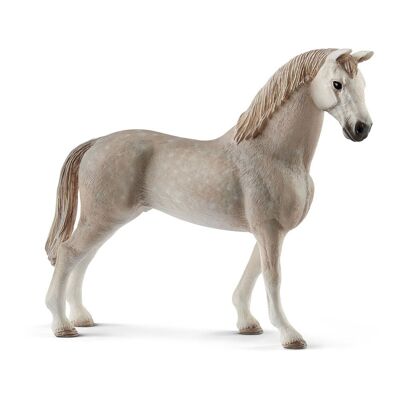 SCHLEICH Horse Club Holsteiner Castrone Figura giocattolo, da 5 a 12 anni, grigio (13859)
