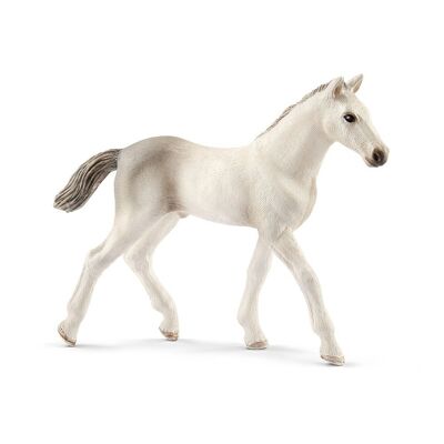 SCHLEICH Horse Club Holsteiner Fohlen Spielfigur, 5 bis 12 Jahre, weiß (13860)
