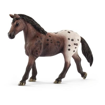 SCHLEICH Horse Club Appaloosa Jument Figurine, 5 à 12 ans, Marron/Blanc (13861)