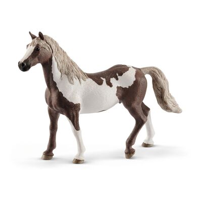Schleich Horse Club Paint Horse Castrado Figura de juguete, 5 a 12 años, marrón/blanco (13885)