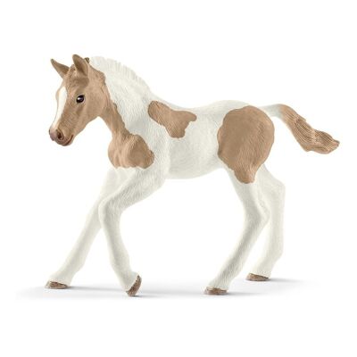SCHLEICH Horse Club Paint Horse Foal Figura de juguete, cinco a doce años y más, blanco/marrón (13886)