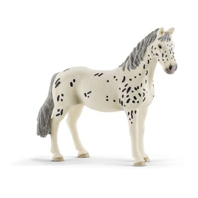 SCHLEICH Horse Club Knabstrupper Cavalla Figura giocattolo (13910)