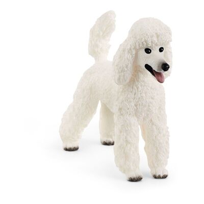 SCHLEICH Farm World Caniche Figurine, 3 à 8 ans, Blanc (13917)