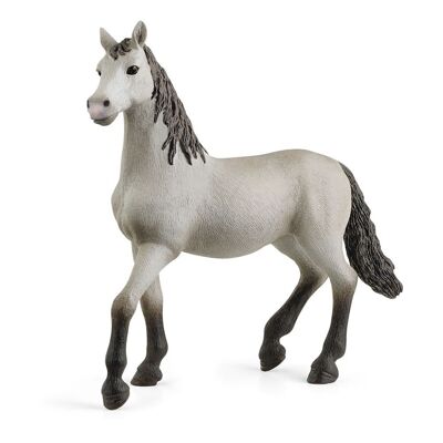 SCHLEICH Horse Club Pura Raza Espanola Junges Pferd Spielfigur, 5 bis 12 Jahre, grau/schwarz (13924)