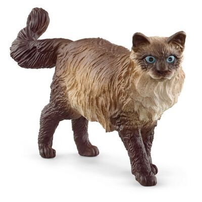 Schleich Farm World Ragdoll Katzenspielfigur, 3 bis 8 Jahre, Mehrfarbig (13940)