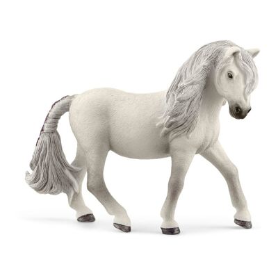 Schleich Horse Club Islandia Pony Mare Figura de juguete, 5 a 12 años, Blanco (13942)