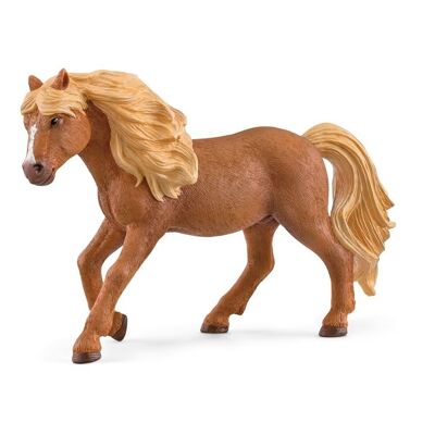 Schleich Horse Club Islandia Pony Stallion Figura de juguete, 5 a 12 años, Marrón (13943)