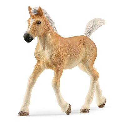 SCHLEICH Horse Club Haflinger puledro giocattolo, da 5 a 12 anni, marrone chiaro (13951)