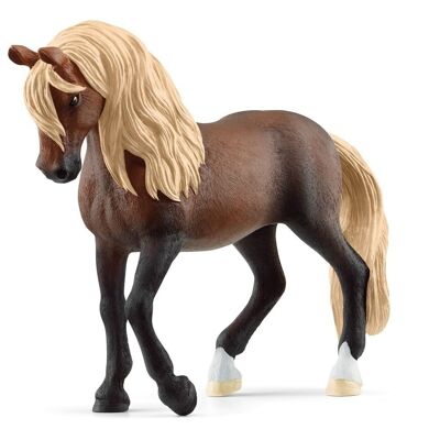 Schleich Horse Club Figura de juguete de semental peruano de paso, de 5 a 12 años, marrón (13952)