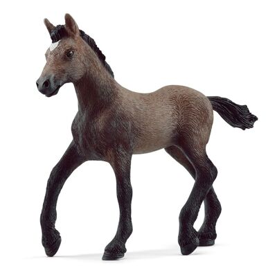 Schleich Horse Club Figura de juguete de potro peruano de paso, de 5 a 12 años, marrón (13954)