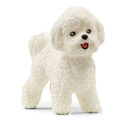 SCHLEICH Farm World Bichon Frise Spielfigur, 3 bis 8 Jahre, Weiß (13963)