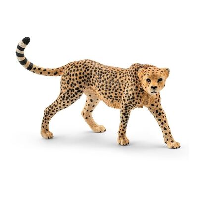 SCHLEICH Wild Life Figura giocattolo femmina ghepardo, da 3 a 8 anni (14746)