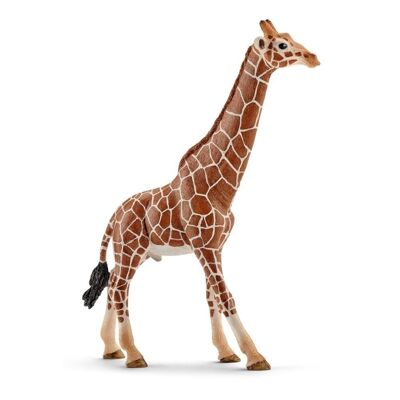 SCHLEICH Wild Life Figura de juguete de jirafa macho, marrón/tostado, de 3 a 8 años (14749)