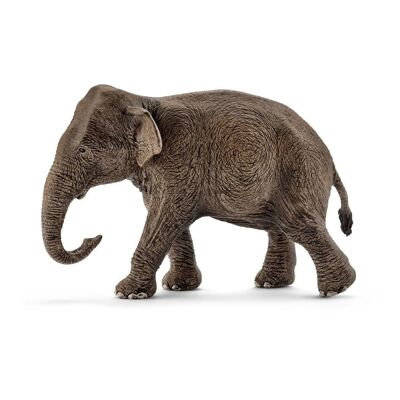 Schleich Wild Life Figura de juguete de elefante asiático femenino, de 3 a 8 años (14753)