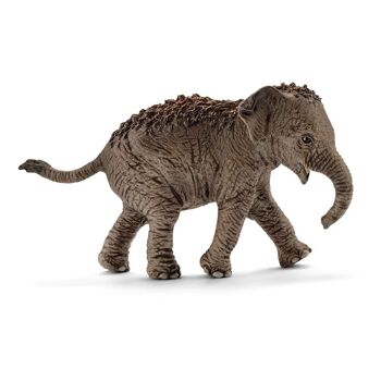 SCHLEICH Wild Life Figurine d'éléphant d'Asie, 3 à 8 ans (14755)