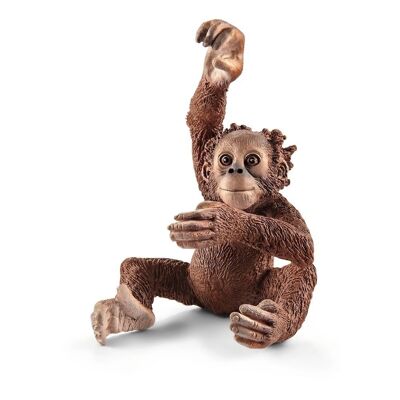 SCHLEICH Wild Life Young Orangutan Figura de juguete, marrón, de 3 a 8 años (14776)