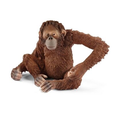 SCHLEICH Wild Life - Figura de juguete orangután hembra (14775)