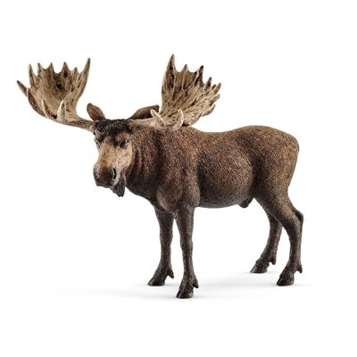 SCHLEICH Wild Life Moose Bull Figura de juguete, 3 a 8 años (14781)