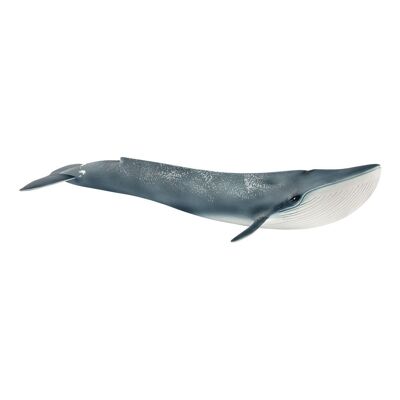 SCHLEICH Wild Life Figura de juguete de ballena azul (14806)
