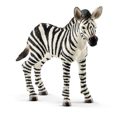 SCHLEICH Wild Life Zebra Potro Figura de juguete, 3 a 8 años (14811)