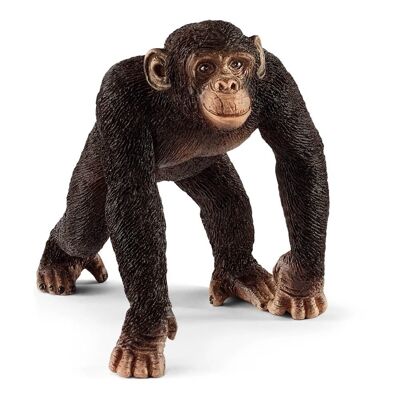 SCHLEICH Wild Life Figura de juguete de chimpancé macho, de 3 a 8 años (14817)