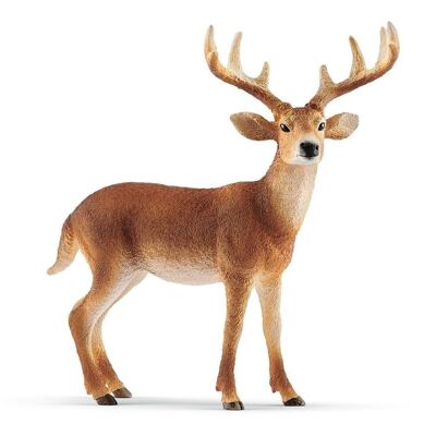 SCHLEICH Wild Life Buck dalla coda bianca figura giocattolo, da 3 a 8 anni (14818)