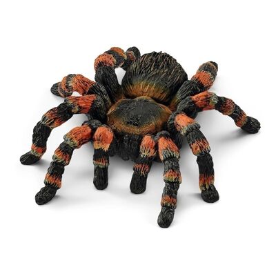 SCHLEICH Wild Life Tarantula Toy Figure, da 3 a 8 anni (14829)