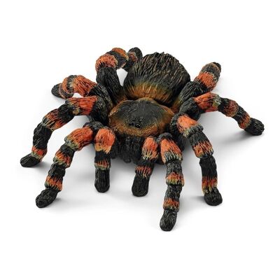 SCHLEICH Wild Life Tarántula Figura de juguete, 3 a 8 años (14829)