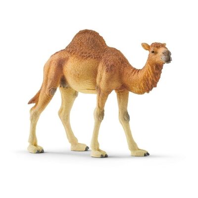 SCHLEICH Wild Life Dromadaire Figurine (14832)